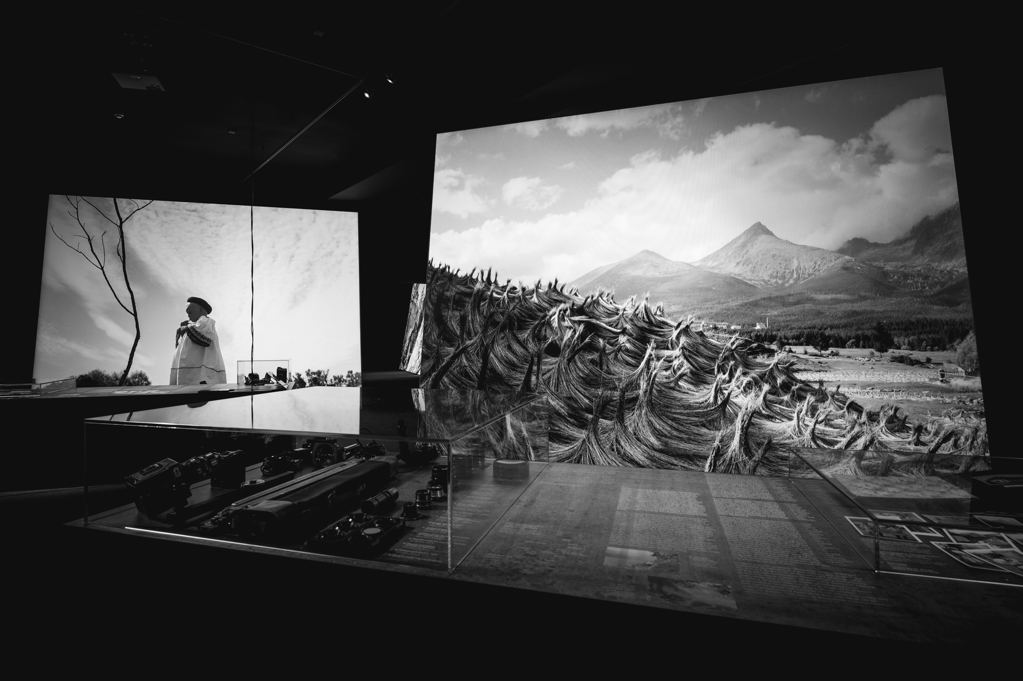 NZ6 2307 DxO DeepPRIME XD2s